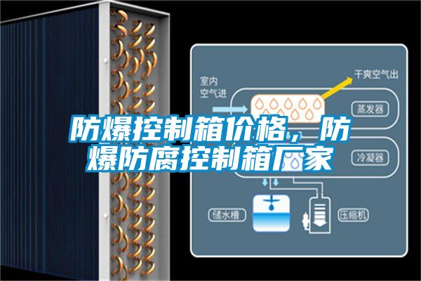 国产精品欧美激情视频 防爆控制箱价格，防爆防腐控制箱厂家