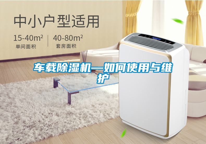 国产精品探花在线观看 车载除湿机—如何使用与维护