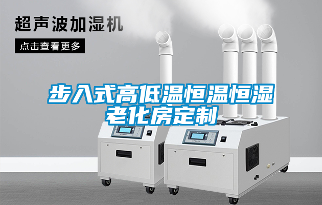 国产精品三级在线观看 步入式高低温恒温恒湿老化房定制
