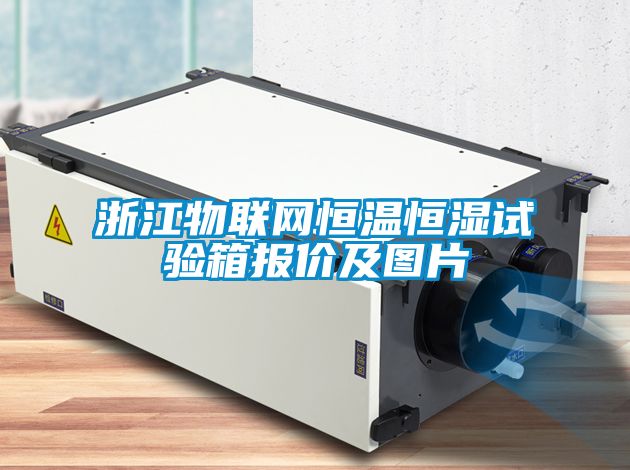 国产精品三级在线观看 浙江物联网恒温恒湿试验箱报价及图片