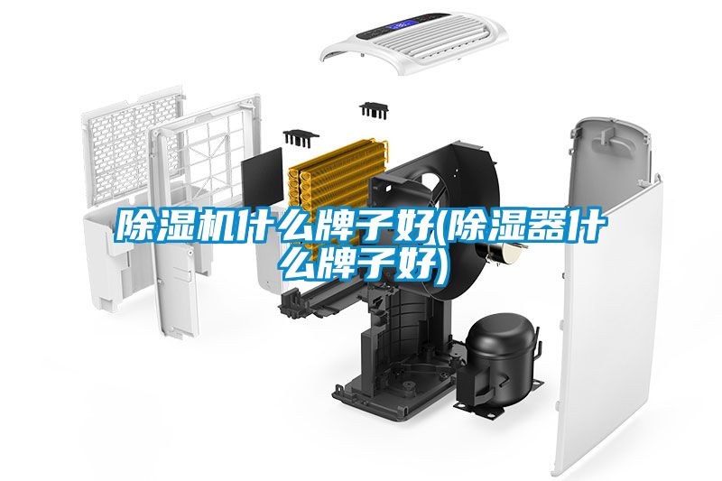 国产精品探花在线观看 除湿机什么牌子好(除湿器什么牌子好)