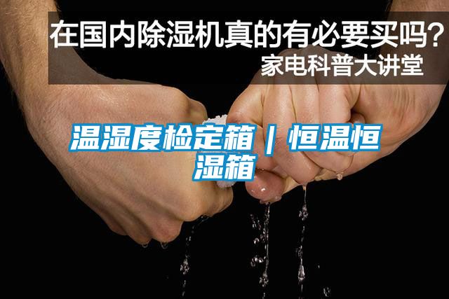 国产精品三级在线观看 温湿度检定箱｜恒温恒湿箱