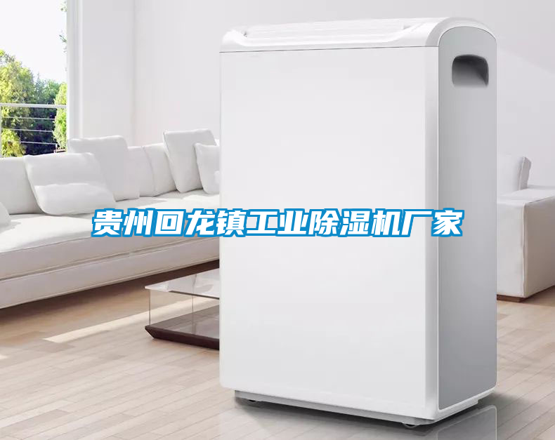 国产精品欧美激情视频 贵州回龙镇工业除湿机厂家
