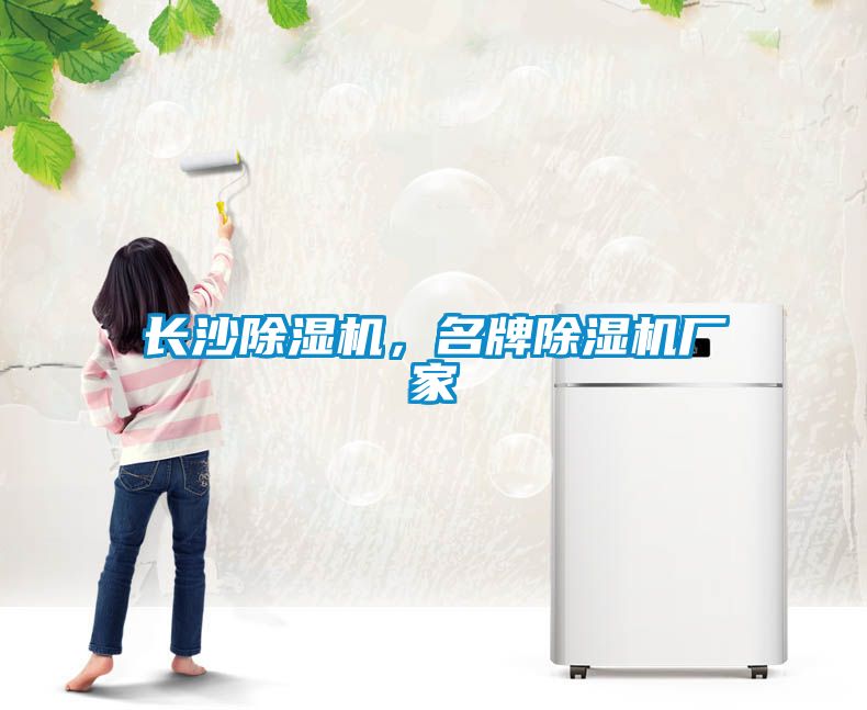 国产精品欧美激情视频 长沙除湿机，名牌除湿机厂家
