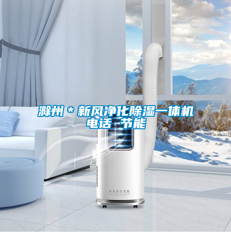 国产精品欧美激情视频 滁州＊新风净化除湿一体机电话 节能