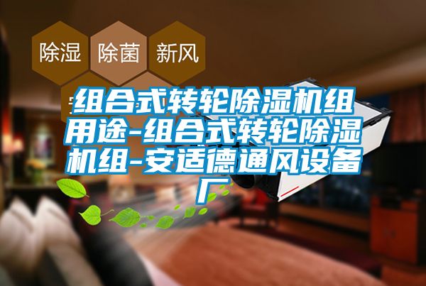 国产精品三级在线观看 组合式转轮除湿机组用途-组合式转轮除湿机组-安适德通风设备厂