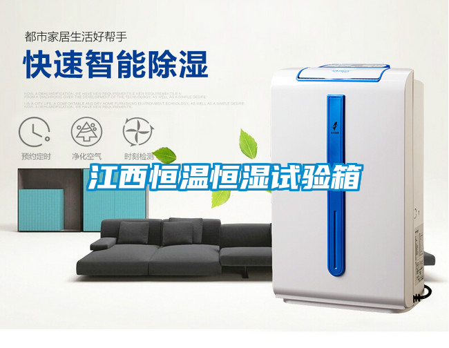 国产精品三级在线观看 江西恒温恒湿试验箱