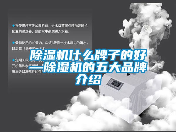 国产精品欧美激情视频 除湿机什么牌子的好—除湿机的五大品牌介绍