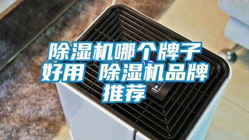 国产精品欧美激情视频 除湿机哪个牌子好用 除湿机品牌推荐