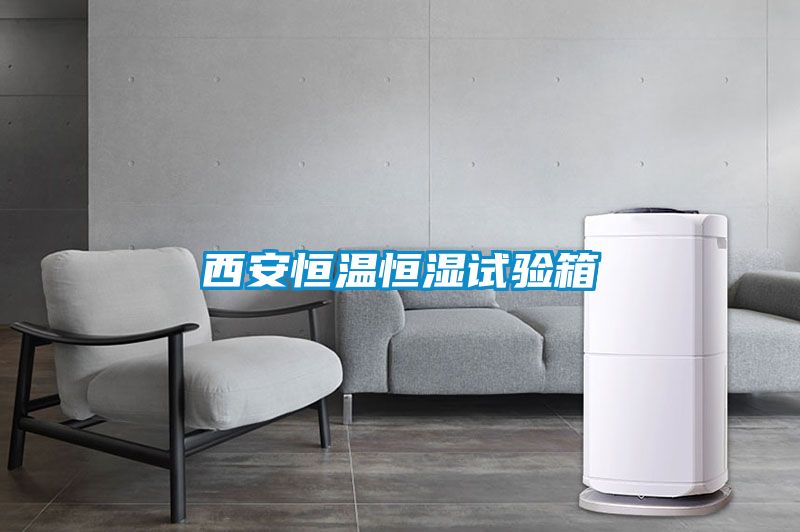 国产精品三级在线观看 西安恒温恒湿试验箱