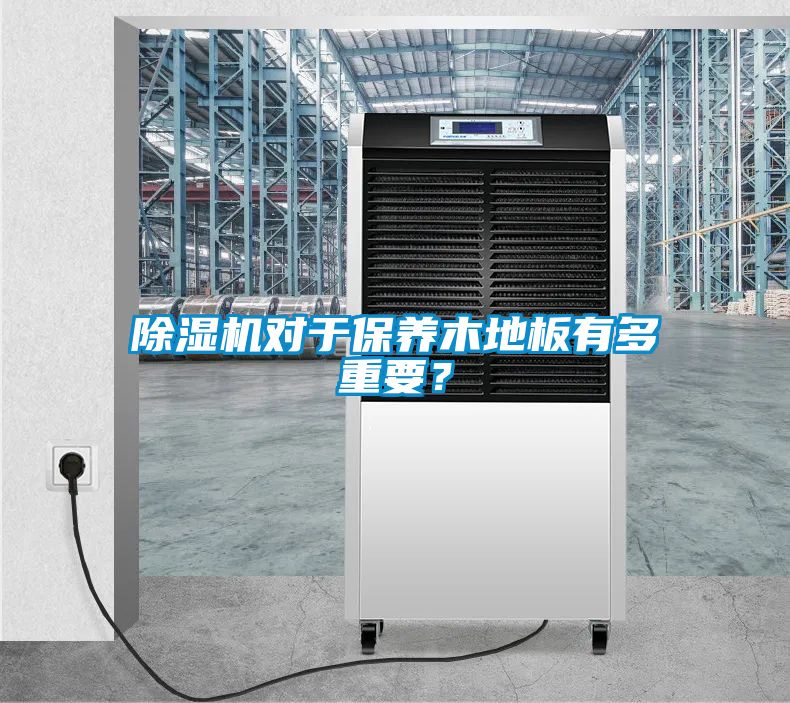 国产精品三级在线观看 除湿机对于保养木地板有多重要？