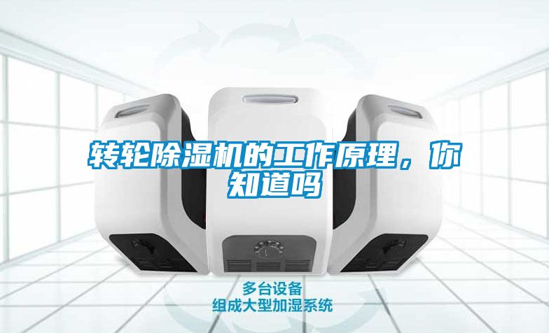 国产精品欧美激情视频 转轮除湿机的工作原理，你知道吗