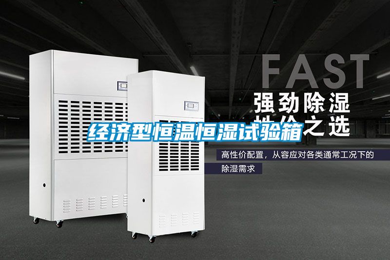 国产精品探花在线观看 经济型恒温恒湿试验箱