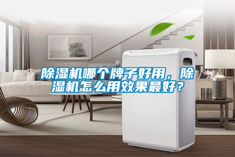 国产精品三级在线观看 除湿机哪个牌子好用，除湿机怎么用效果最好？