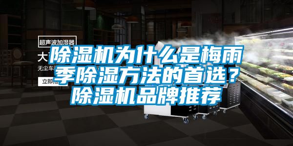 国产精品探花在线观看 除湿机为什么是梅雨季除湿方法的首选？除湿机品牌推荐