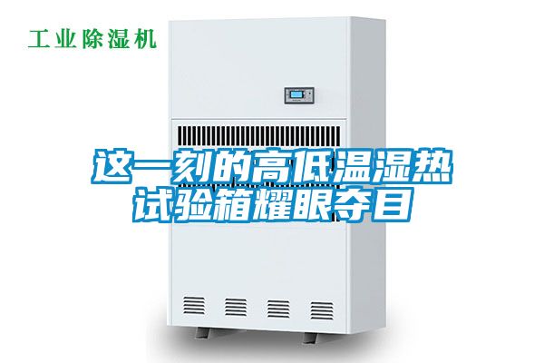 国产精品三级在线观看 这一刻的高低温湿热试验箱耀眼夺目