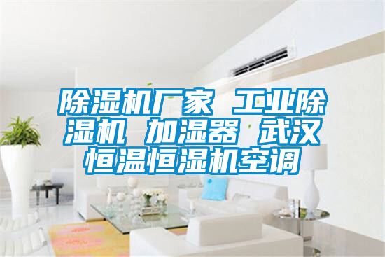 国产精品欧美激情视频 除湿机厂家 工业除湿机 加湿器 武汉恒温恒湿机空调