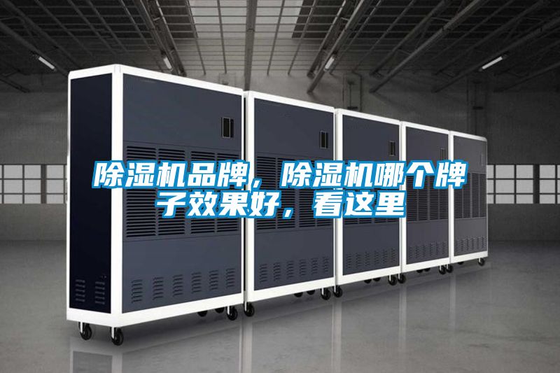 国产精品欧美激情视频 除湿机品牌，除湿机哪个牌子效果好，看这里