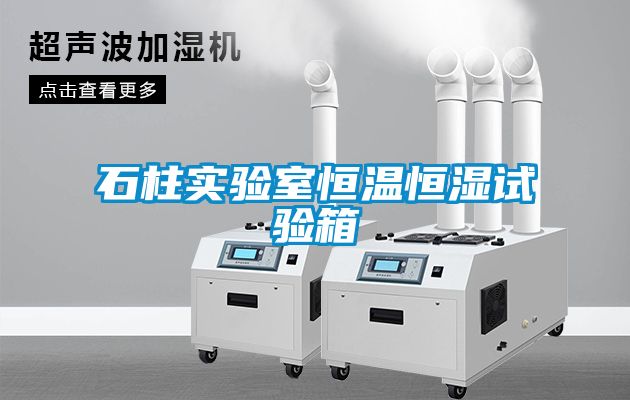 国产精品三级在线观看 石柱实验室恒温恒湿试验箱