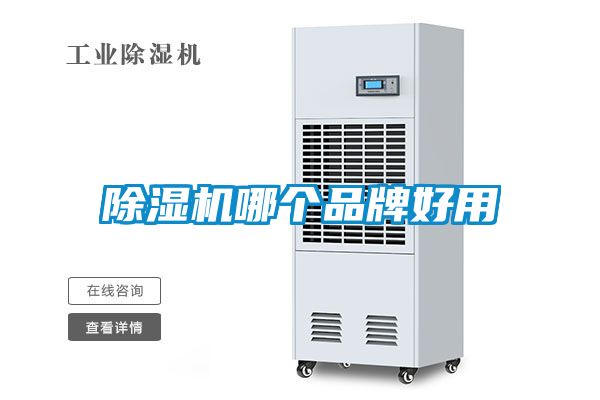 国产精品欧美激情视频 除湿机哪个品牌好用