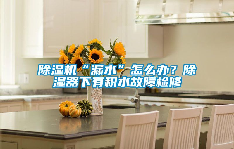 国产精品三级在线观看 除湿机“漏水”怎么办？除湿器下有积水故障检修