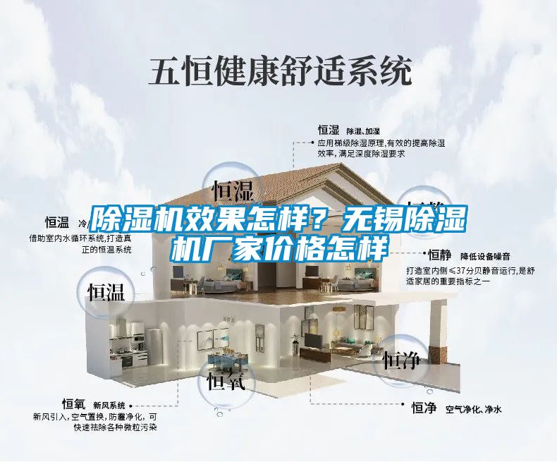 国产精品探花在线观看 除湿机效果怎样？无锡除湿机厂家价格怎样