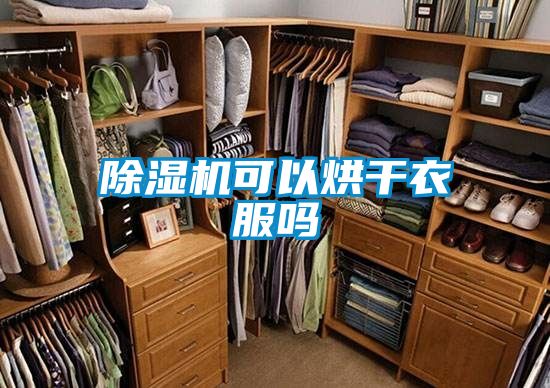 国产精品探花在线观看 除湿机可以烘干衣服吗