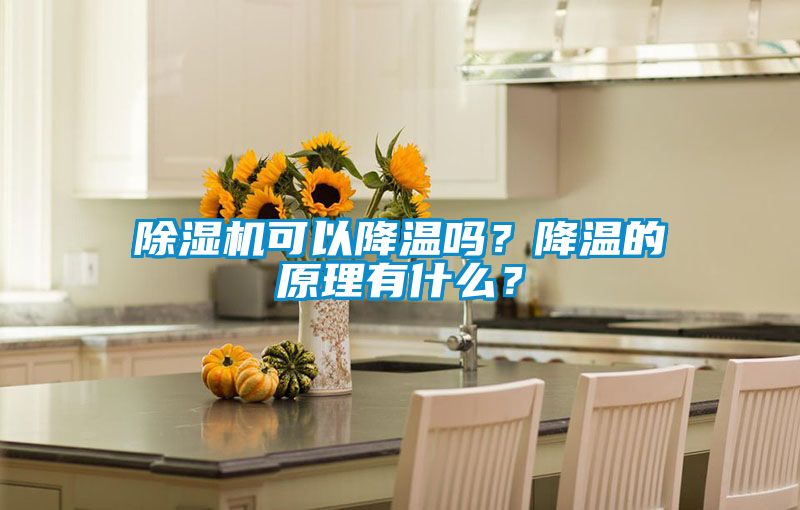 国产精品欧美激情视频 除湿机可以降温吗？降温的原理有什么？