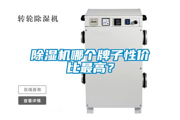 国产精品欧美激情视频 除湿机哪个牌子性价比最高？