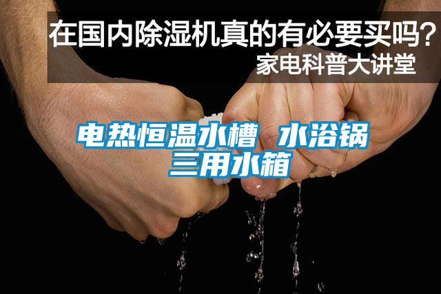 国产精品探花在线观看 电热恒温水槽 水浴锅 三用水箱