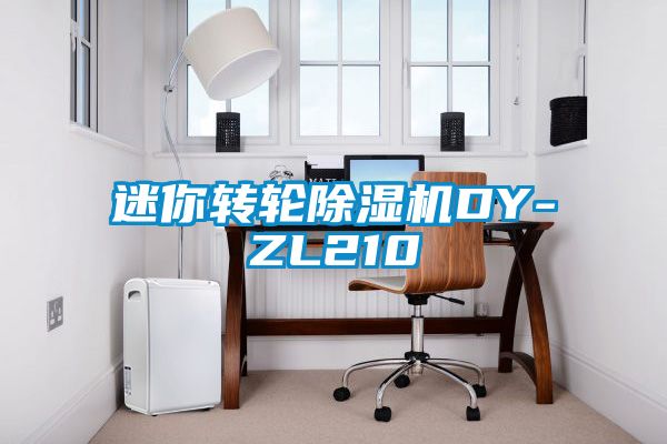 国产精品探花在线观看 迷你转轮除湿机DY-ZL210