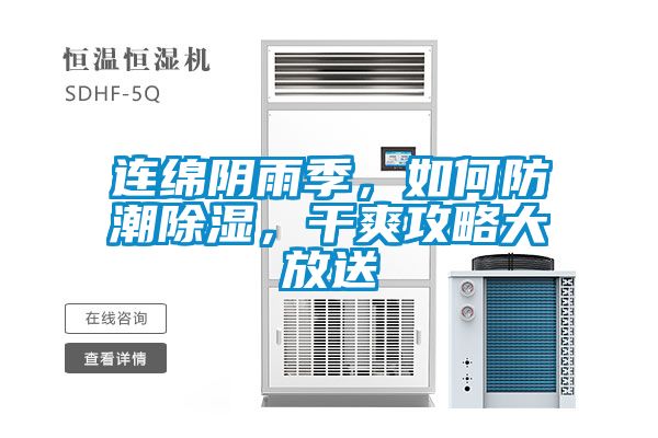 国产精品欧美激情视频 连绵阴雨季，如何防潮除湿，干爽攻略大放送