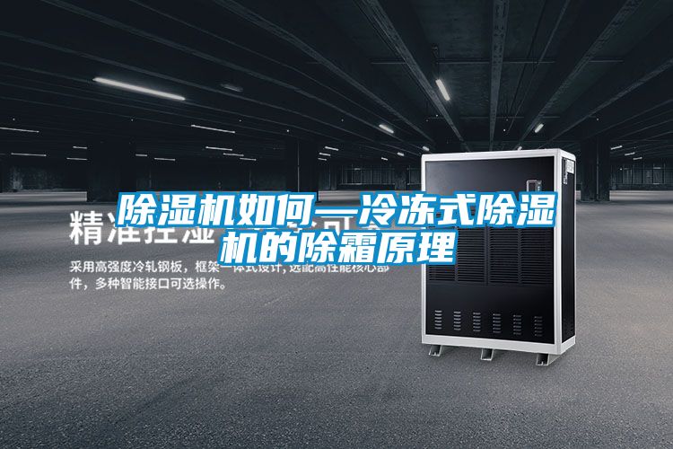 国产精品欧美激情视频 除湿机如何—冷冻式除湿机的除霜原理