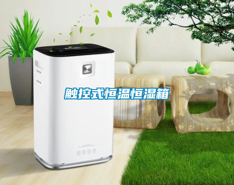 国产精品三级在线观看 触控式恒温恒湿箱