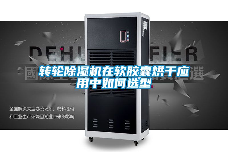 国产精品三级在线观看 转轮除湿机在软胶囊烘干应用中如何选型