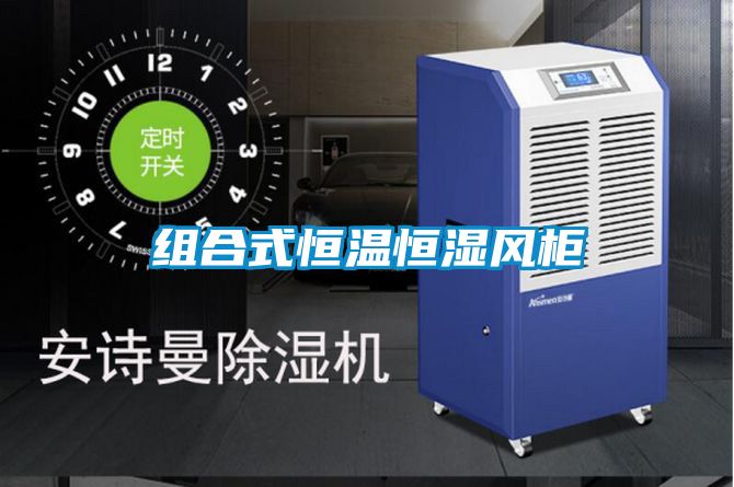 国产精品欧美激情视频 组合式恒温恒湿风柜