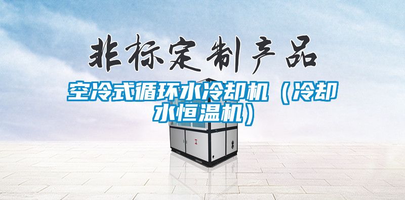 国产精品三级在线观看 空冷式循环水冷却机（冷却水恒温机）
