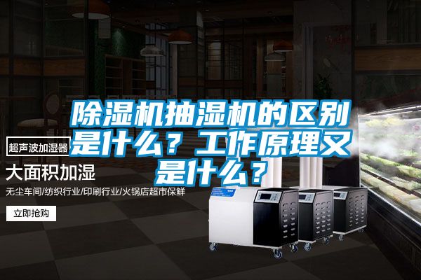 国产精品欧美激情视频 除湿机抽湿机的区别是什么？工作原理又是什么？