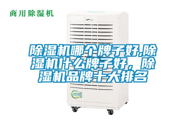 国产精品欧美激情视频 除湿机哪个牌子好,除湿机什么牌子好，除湿机品牌十大排名