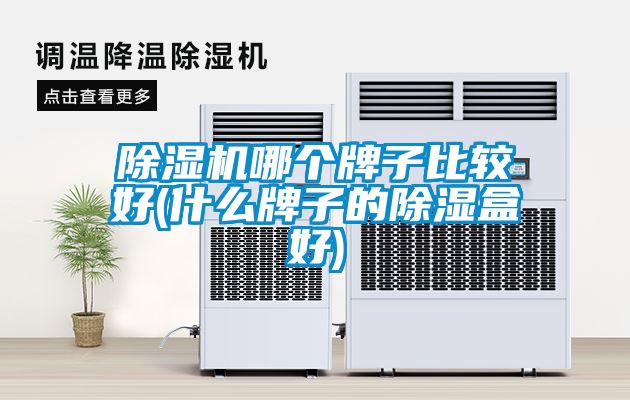 国产精品欧美激情视频 除湿机哪个牌子比较好(什么牌子的除湿盒好)