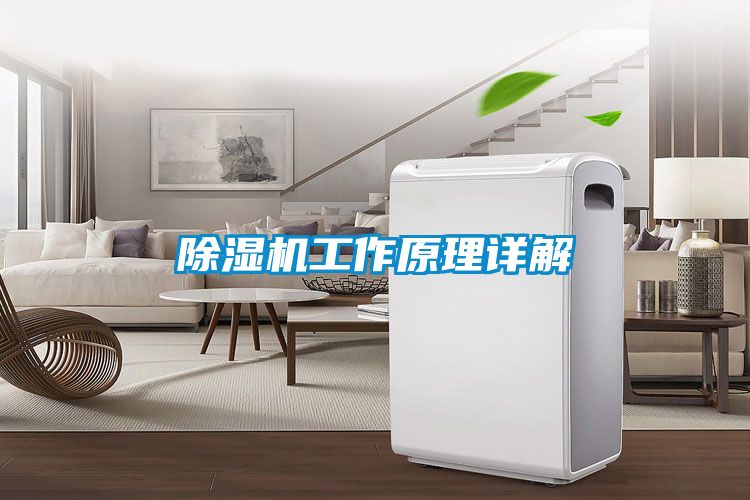 国产精品三级在线观看 除湿机工作原理详解