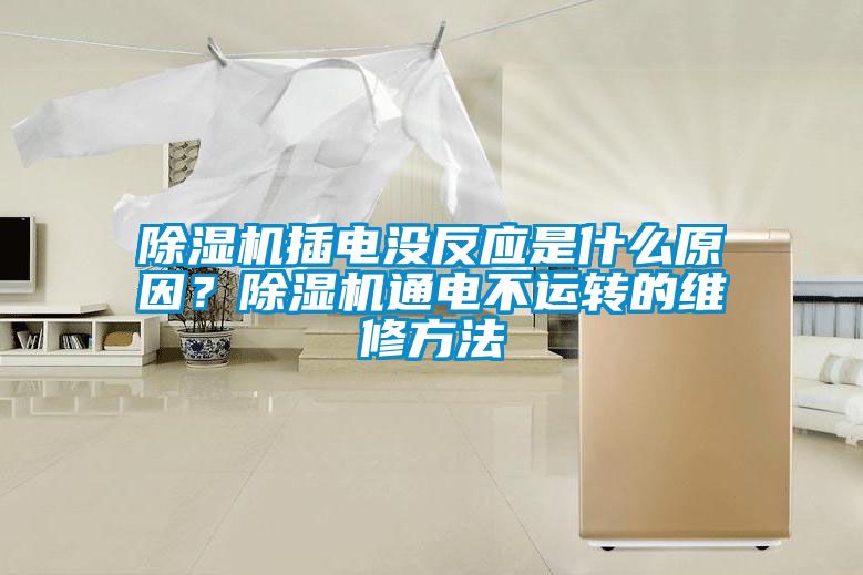 国产精品三级在线观看 除湿机插电没反应是什么原因？除湿机通电不运转的维修方法