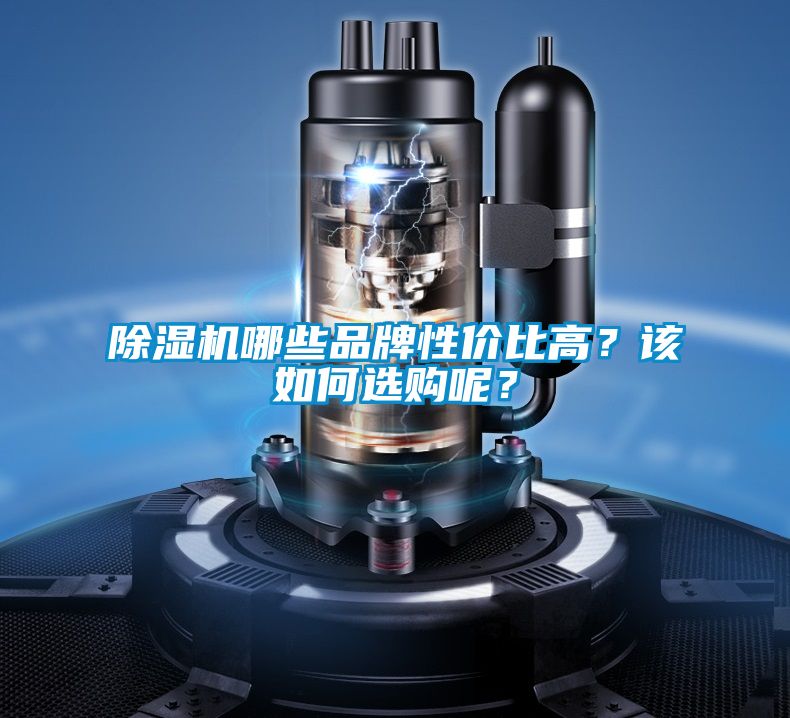 国产精品探花在线观看 除湿机哪些品牌性价比高？该如何选购呢？