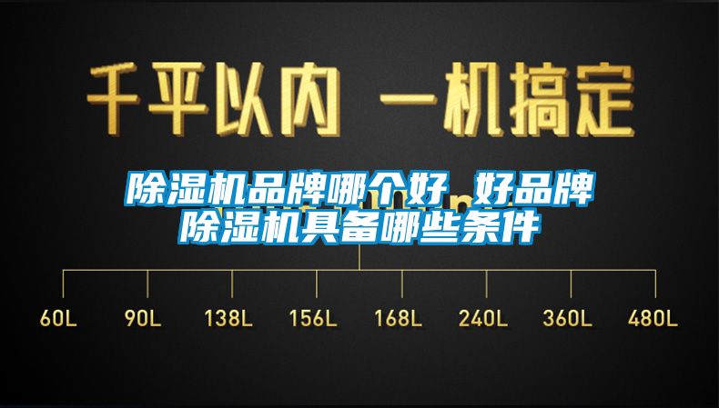 国产精品三级在线观看 除湿机品牌哪个好 好品牌除湿机具备哪些条件