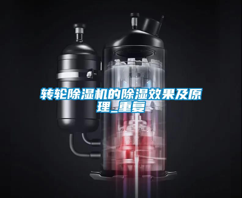 国产精品欧美激情视频 转轮除湿机的除湿效果及原理_重复