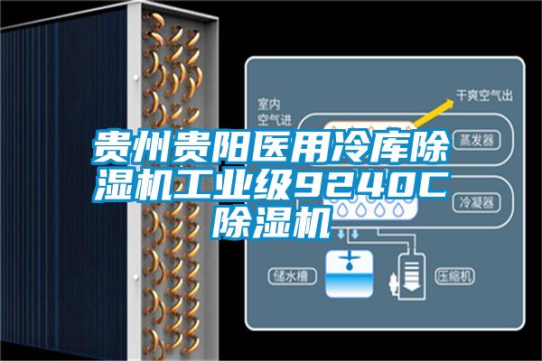 国产精品三级在线观看 贵州贵阳医用冷库除湿机工业级9240C除湿机