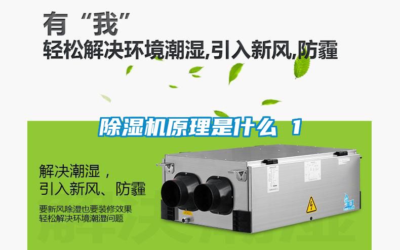 国产精品欧美激情视频 除湿机原理是什么 1