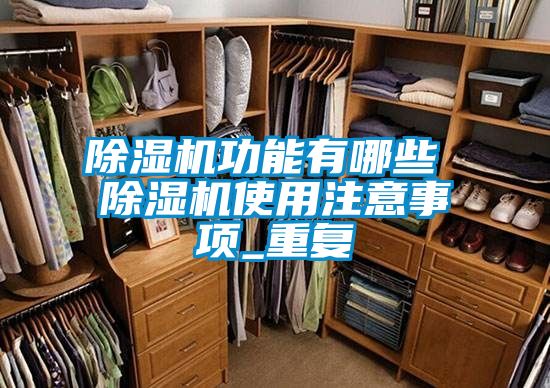 国产精品三级在线观看 除湿机功能有哪些 除湿机使用注意事项_重复