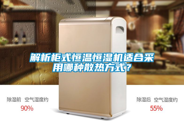 国产精品欧美激情视频 解析柜式恒温恒湿机适合采用哪种散热方式？