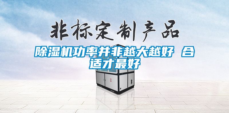 国产精品三级在线观看 除湿机功率并非越大越好 合适才最好